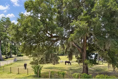 4450 E Windmill Drive #206, Inverness, FL 34453 - Photo 19
