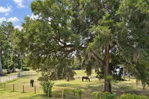 4450 E Windmill Dr, Inverness, FL 34453 - Photo 19