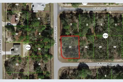 1671 W Belen Drive, Citrus Springs, FL 34434 - Photo 3