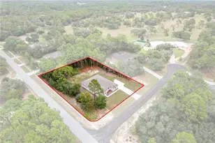 3339 W Villanova Ct, Beverly Hills, FL 34465 - Photo 9