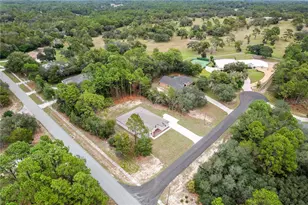3339 W Villanova Ct, Beverly Hills, FL 34465 - Photo 117