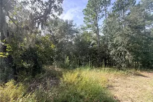 5066 E Anna Jo Dr, Inverness, FL 34452 - Photo 1