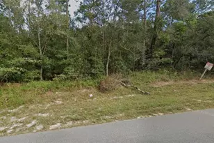 7059 Clemson St, Keystone Heights, FL 32656 - Photo 1