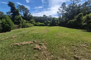 4333 S Rainbow Dr, Inverness, FL 34452 - Photo 3