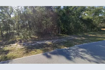 5540 County Road 352, Keystone Heights, FL 32656 - Photo 1