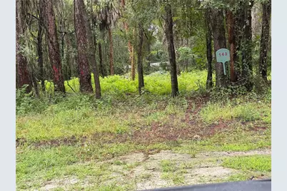 143 N Schoolcraft Drive, Inglis, FL 34449 - Photo 1