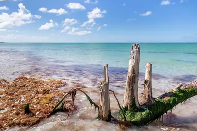 9498 Alborado Road, Placida, FL 33946 - Photo 59