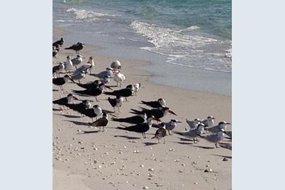 322 S Gulf Boulevard, Placida, FL 33946 - Photo 13