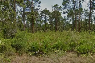 13547 Lynbrook Ave, Port Charlotte, FL 33953 - Photo 1