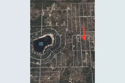 Lots 39-44 17th Street, Interlachen, FL 32148 - Photo 5
