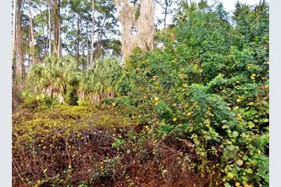 Daphne Road, North Port, FL 34288 - Photo 1