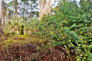 Daphne Rd, North Port, FL 34288 - Photo 1