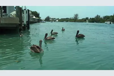 4198 Gardner Drive, Port Charlotte, FL 33952 - Photo 67