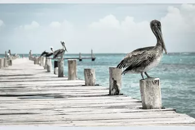 4198 Gardner Drive, Port Charlotte, FL 33952 - Photo 89