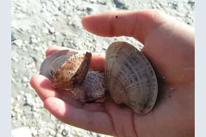 4198 Gardner Drive, Port Charlotte, FL 33952 - Photo 51