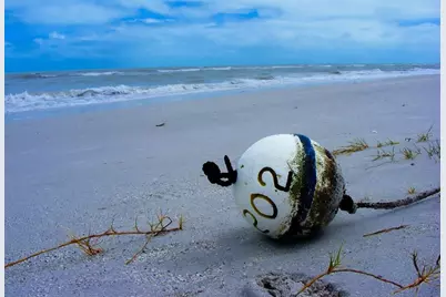 4198 Gardner Drive, Port Charlotte, FL 33952 - Photo 47