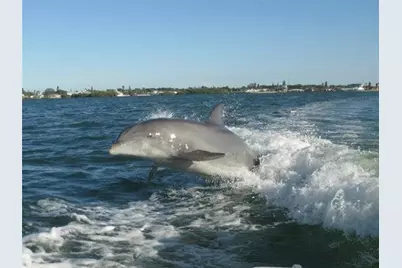 4198 Gardner Drive, Port Charlotte, FL 33952 - Photo 99