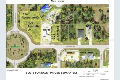 126 Australian Drive, Rotonda West, FL 33947 - Photo 3