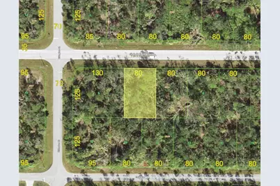 14217 Chamberlain Boulevard, Port Charlotte, FL 33953 - Photo 1