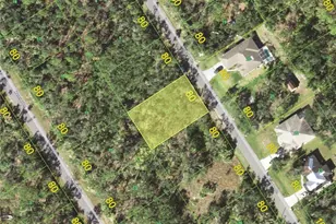 1361 Caraboa Ln, Port Charlotte, FL 33953 - Photo 1