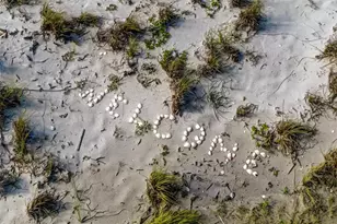 7482 Palm Island Dr, Placida, FL 33946 - Photo 35