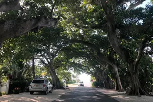 16250 Sunset Pines Cir, Boca Grande, FL 33921 - Photo 43