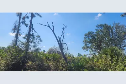 4163 Hollybrook Street, Port Charlotte, FL 33981 - Photo 9