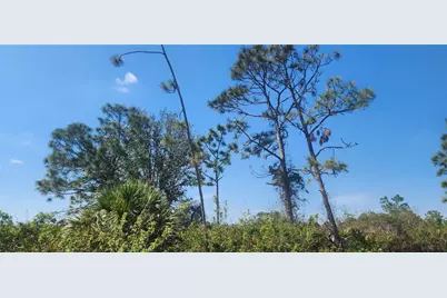 4163 Hollybrook Street, Port Charlotte, FL 33981 - Photo 5