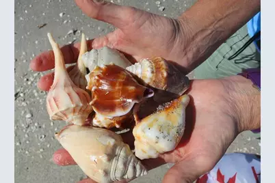 177 Gulf Boulevard #A, Placida, FL 33946 - Photo 5