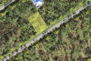 1443 Lace Terrace, Port Charlotte, FL 33953 - Photo 1