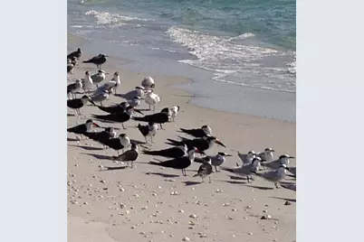 360 S Gulf Boulevard, Placida, FL 33946 - Photo 57