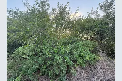 146 Patton Ave, Lake Placid, FL 33852 - Photo 3