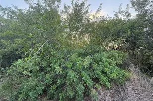 146 Patton Ave, Lake Placid, FL 33852 - Photo 3