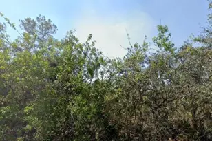 146 Patton Ave, Lake Placid, FL 33852 - Photo 1