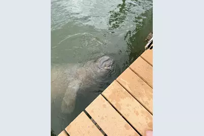 8438 Little Gasparilla Island, Placida, FL 33946 - Photo 17