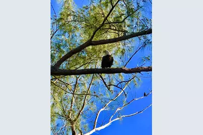 8438 Little Gasparilla Island, Placida, FL 33946 - Photo 9