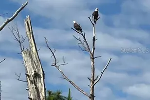 13217 Scrub Jay Ct, Port Charlotte, FL 33953 - Photo 57