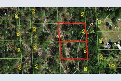 239 & 245 Sawfish Lane, Punta Gorda, FL 33982 - Photo 1