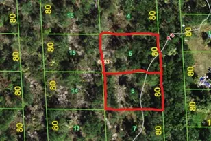 239 & 245 Sawfish Ln, Punta Gorda, FL 33982 - Photo 1