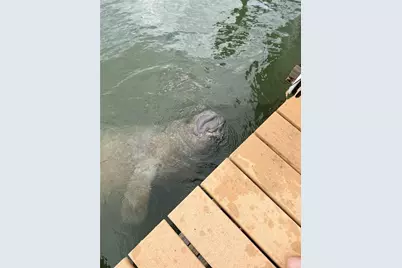 9580 Almirate Court, Placida, FL 33946 - Photo 51