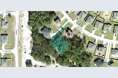 224 Begonia Lane, Poinciana, FL 34759 - Photo 1