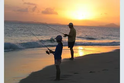 51 Pine Valley Place, Rotonda West, FL 33947 - Photo 17