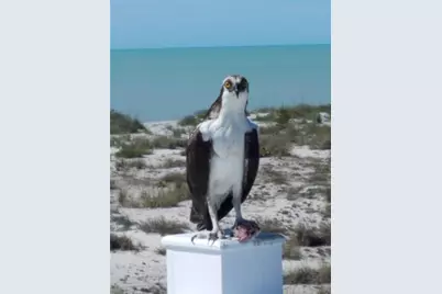 180 N Gulf Boulevard #5, Placida, FL 33946 - Photo 41