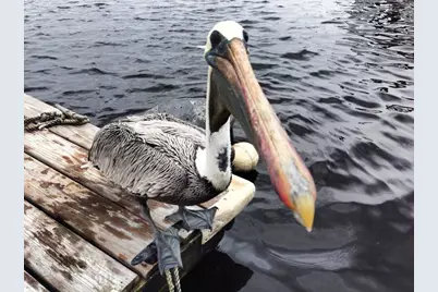 67 Bocilla Drive, Placida, FL 33946 - Photo 17