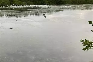 10521 Amberjack Way, Englewood, FL 34224 - Photo 35