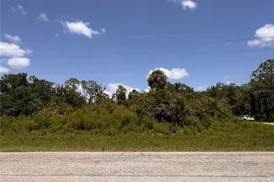 13276 Johannes Ave, Port Charlotte, FL 33953 - Photo 1