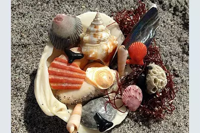 6180 Manasota Key Road #Gulf Side, Englewood, FL 34223 - Photo 15