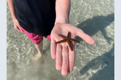 6180 Manasota Key Road #Gulf Side, Englewood, FL 34223 - Photo 11