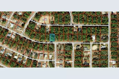 3357 W Cushion Drive, Citrus Springs, FL 34433 - Photo 1