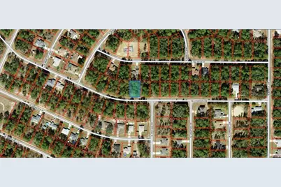 3369 W Cushion Drive, Citrus Springs, FL 34433 - Photo 1